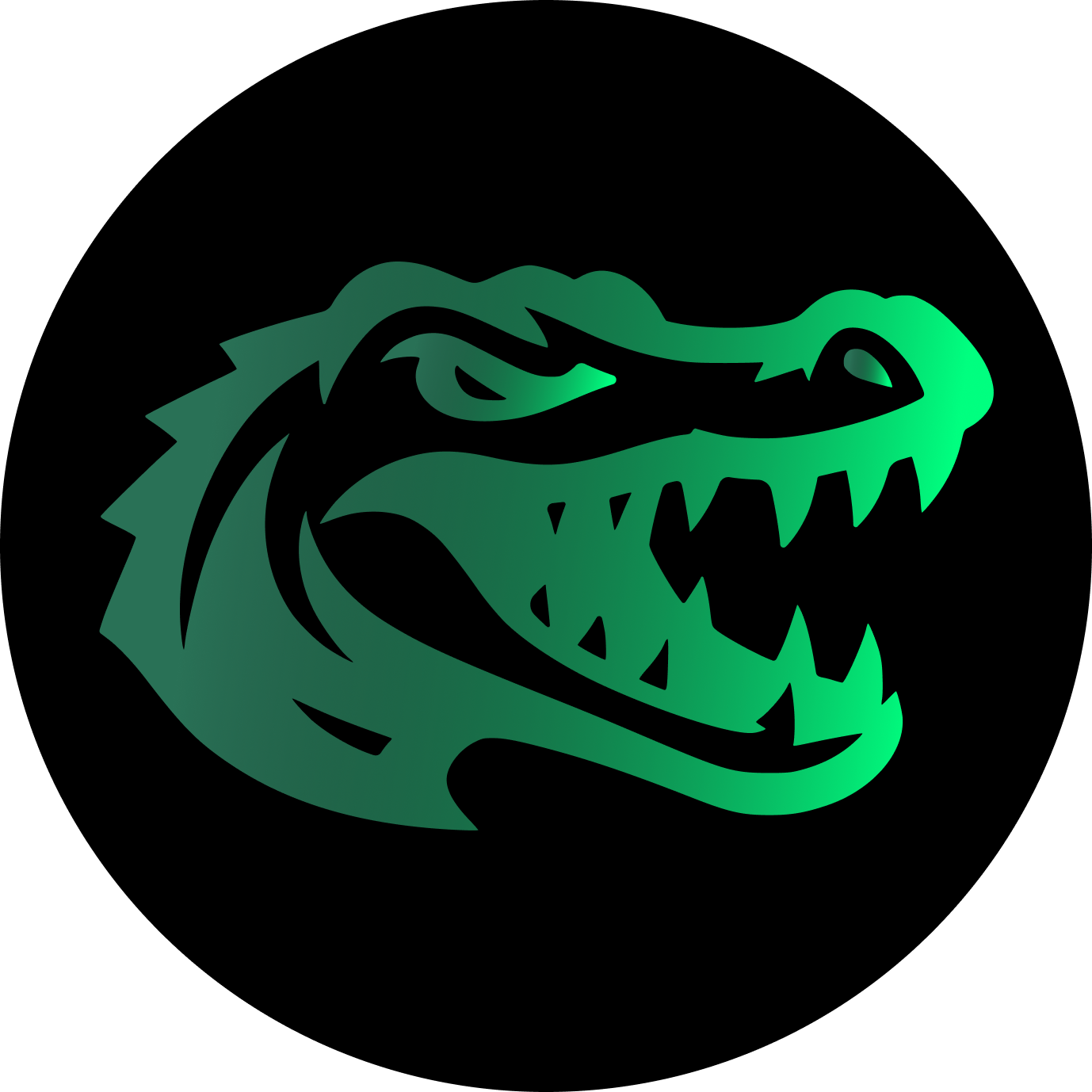 Croc logo
